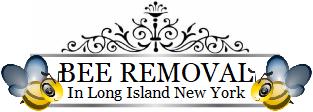 Long Island Bee Removal | Bald-Faced | New York | Hornets | Bald Faced Hornet | Hive | Nest | Remove | Nassau County | Long Island